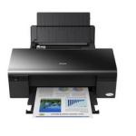 Струйный принтер Epson Stylus C110